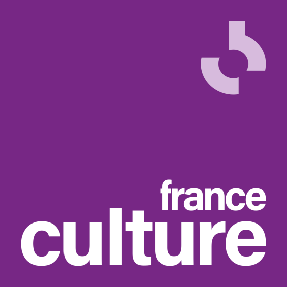 Alexande Daby-Seesaram sur France Culture